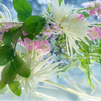 Emily Hamilton Laux, "AquaFlora 6," digital photograph