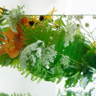 Emily Hamilton Laux, "AquaFlora 1," digital photograph