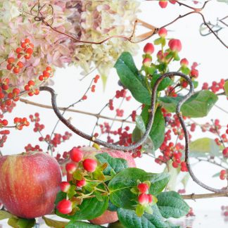 Emily Hamilton Laux, "Aqua Flora 4," digital photograph