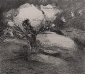 Dana Saulnier, "Drawing (102521)," charcoal