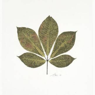 Horse Chestnut Leaf, Cat. 106