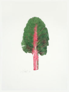 Red-Stemmed Chard Cat. 128