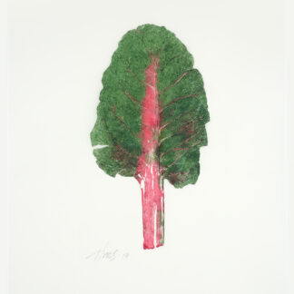 Red-Stemmed Chard Cat. 128