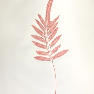 Toile Fern I, Cat. 148