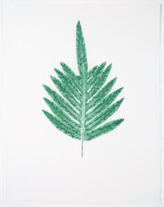 Heather Sandifer, "Deep Aqua Phlebotium Fern, Cat. 157," mixed media on vellum paper