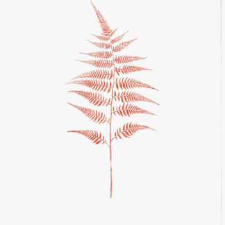 Heather Sandifer, "Toile Fern II, Cat. 149," mixed media on vellum paper
