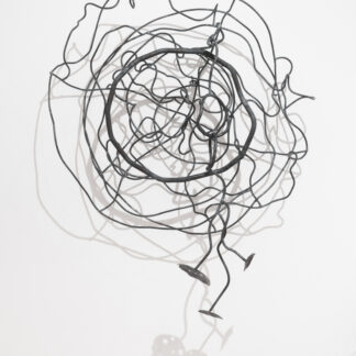 Scribble Barnacle