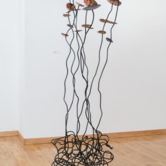 Sunstalks with Copper