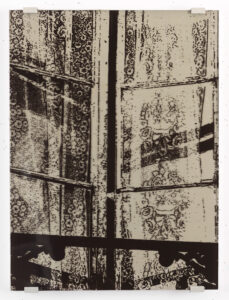 Eugene Brodsky, "Lace Vertical (small)," silkscreen ink, plastic, oil on canvas