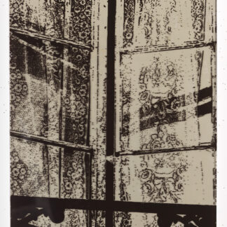 Eugene Brodsky, "Lace Vertical (small)," silkscreen ink, plastic, oil on canvas