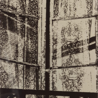 Eugene Brodsky, "Lace Vertical (small)," silkscreen ink, plastic, oil on canvas