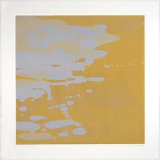Liz Dexheimer, "Coloratura V," monotype