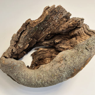 Donna Forma, "Speaks For Itself," wood