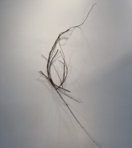 Donna Forma, "Learning From Flaco," wood