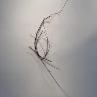 Donna Forma, "Learning From Flaco," wood