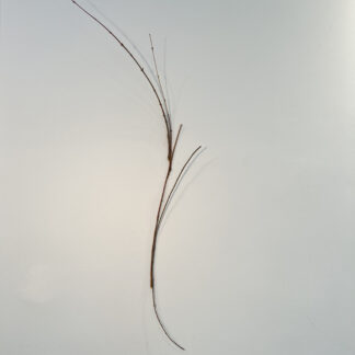 Donna Forma, "Rhapsody," wood