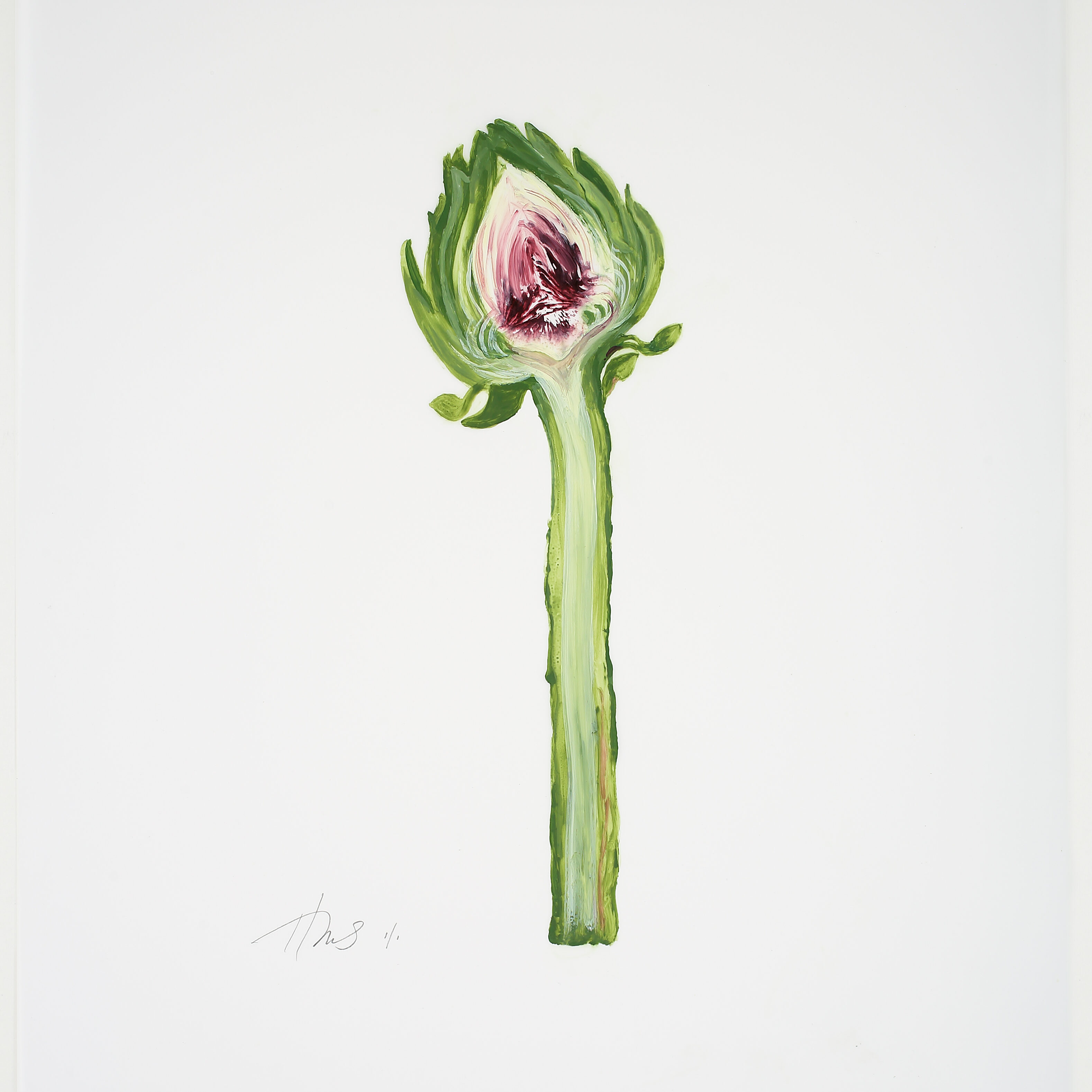 Heather Sandifer, "Long-Stemmed Artichoke, Cat. 131," mixed media on vellum paper