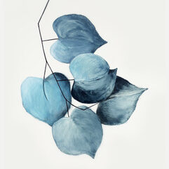 Heather Sandifer, "On Being, Cat. 144", mixed media on vellum paper