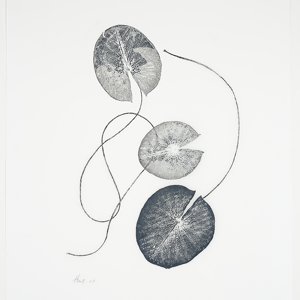 Heather Sandifer, "Fleeting, Waterlily Leaves Cat. 44," mixed media on vellum paper