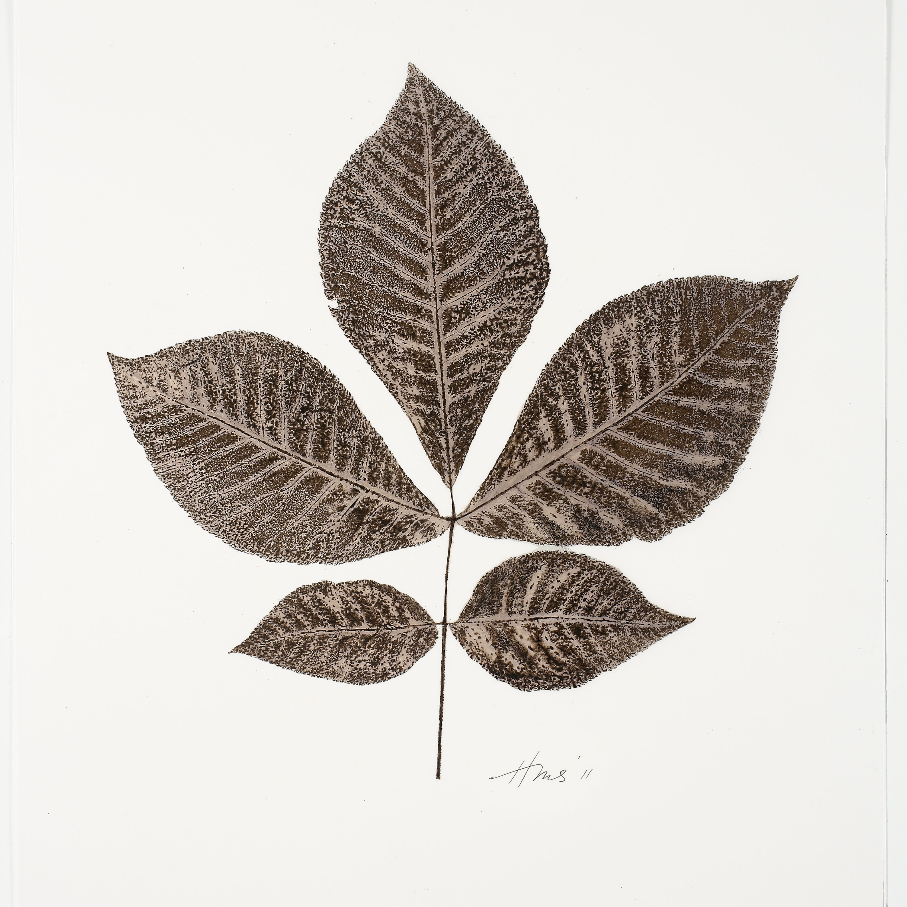 Heather Sandifer, "Umber Hickory, Cat. 92," mixed media on vellum paper
