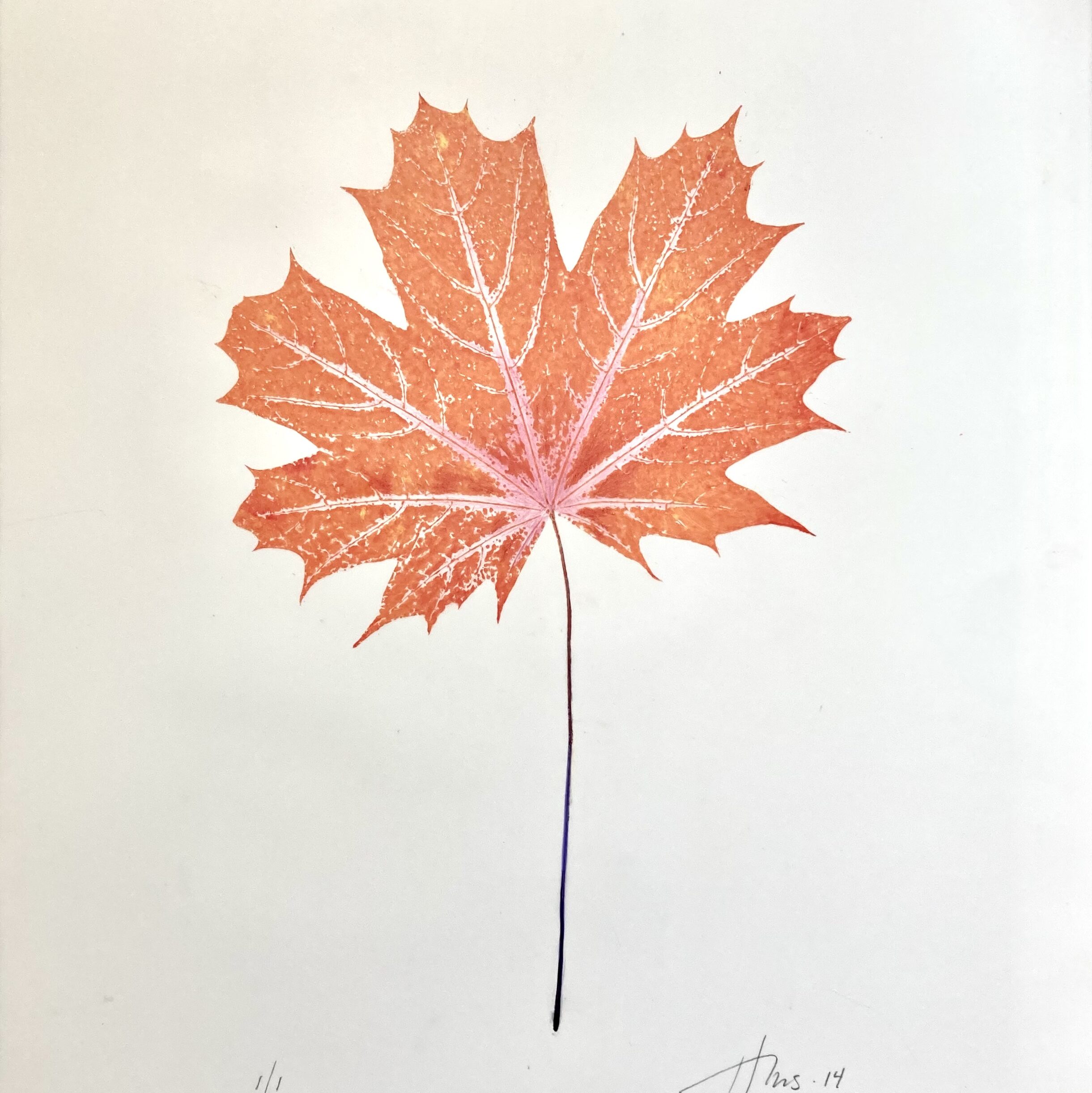 Heather Sandifer, "Orange Maple, Cat. 113," mixed media on vellum paper