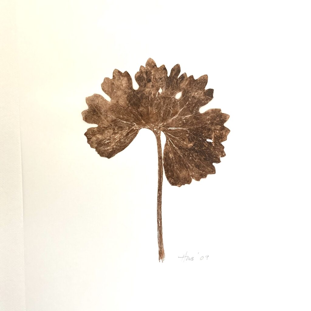 Heather Sandifer, "Paleo Bloodroot Sanguina Canadensis Cat. 086," monotype, mixed media on vellum paper