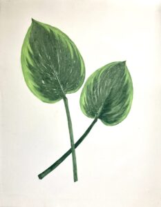 Heather Sandifer, "Limelights, Cat. 155, Hosta Pair," mixed media on vellum paper