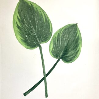 Heather Sandifer, "Limelights, Cat. 155, Hosta Pair," mixed media on vellum paper
